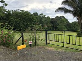  Land for sale in Hurtado, La Chorrera, Hurtado