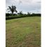  Land for sale in Hurtado, La Chorrera, Hurtado