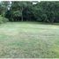  Land for sale in Hurtado, La Chorrera, Hurtado