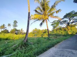  Land for sale in Ngemplak, Sleman, Ngemplak