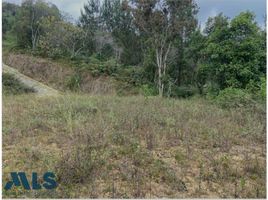  Land for sale in Guarne, Antioquia, Guarne