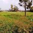  Land for sale in Isla Mujeres, Quintana Roo, Isla Mujeres
