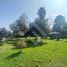  Land for sale in Chile, Pirque, Cordillera, Santiago, Chile