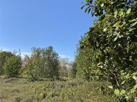  Terreno (Parcela) en venta en Chile, Puerto Montt, Llanquihue, Los Lagos, Chile