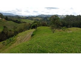  Grundstück zu verkaufen in Retiro, Antioquia, Retiro