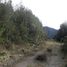  Land for sale in Los Lagos, Chonchi, Chiloe, Los Lagos