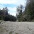  Land for sale in Los Lagos, Chonchi, Chiloe, Los Lagos