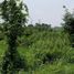Terrain à vendre à Benowo, East Jawa, Benowo