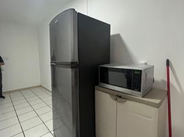 1 chambre Appartement for rent in Boca Del Rio, Veracruz, Boca Del Rio