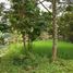  Land for sale in Purwakarta, West Jawa, Purwakarta, Purwakarta