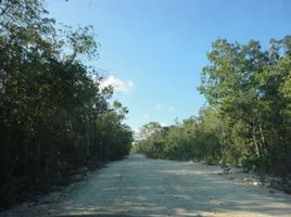 Grundstück zu verkaufen in Cozumel, Quintana Roo, Cozumel