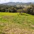  Land for sale in Guarne, Antioquia, Guarne