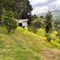  Land for sale in Guarne, Antioquia, Guarne