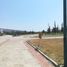  Land for sale in Contepec, Michoacan, Contepec