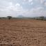  Terreno (Parcela) en venta en Zempoala, Hidalgo, Zempoala