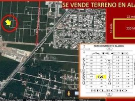  Land for sale in Isla Mujeres, Quintana Roo, Isla Mujeres