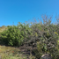 Terrain à vendre à Chicxulub Pueblo, Yucatan, Chicxulub Pueblo