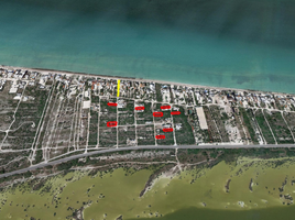 Terrain à vendre à Chicxulub Pueblo, Yucatan, Chicxulub Pueblo