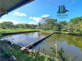 3 Habitación Villa en venta en Chiriquí, Dolega, Dolega, Chiriquí