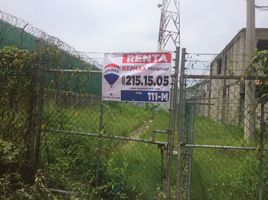  Grundstück zu vermieten in Altamira, Tamaulipas, Altamira, Tamaulipas
