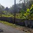  Land for sale in Bantul, Yogyakarta, Pajangan, Bantul