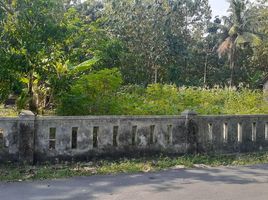  Land for sale in Bantul, Yogyakarta, Pajangan, Bantul