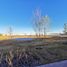  Land for sale in Torreon, Coahuila, Torreon