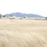  Terreno (Parcela) en venta en Tequisquiapan, Querétaro, Tequisquiapan