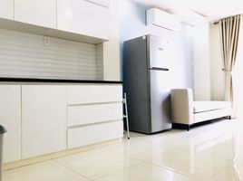 1 Bedroom Apartment for rent in Ward 2, Tan Binh, Ward 2