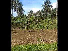  Land for sale in Sukabumi, West Jawa, Sukabumi, Sukabumi