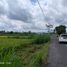  Terreno (Parcela) en venta en Sleman, Yogyakarta, Sleman, Sleman, Yogyakarta