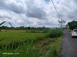  Terreno (Parcela) en venta en Sleman, Yogyakarta, Sleman, Sleman, Yogyakarta