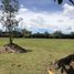Terrain à vendre à Rionegro, Antioquia, Rionegro