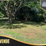  Land for sale in Nilo, Cundinamarca, Nilo