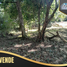  Land for sale in Nilo, Cundinamarca, Nilo