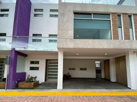 Maison 3 chambre à louer à Toluca, Mexico, Toluca