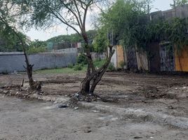  Grundstück zu verkaufen in Juarez, Nuevo Leon, Juarez, Nuevo Leon