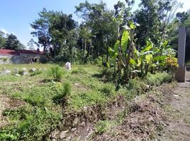  Land for sale in Prambanan, Klaten, Prambanan