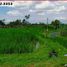  Land for sale in Penebel, Tabanan, Penebel