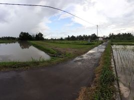  Land for sale in Lombok Tengah, West Nusa Tenggara, Praya, Lombok Tengah