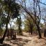 Studio House for sale in Rosamorada, Nayarit, Rosamorada, Nayarit