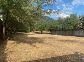 Studio Villa zu vermieten in Monterrey, Nuevo Leon, Monterrey