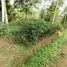  Land for sale in Purwakarta, West Jawa, Purwakarta, Purwakarta