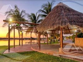  Grundstück zu verkaufen in Cancun, Quintana Roo, Cancun