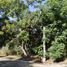 Land for sale in Zapopan, Jalisco, Zapopan