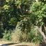 Land for sale in Zapopan, Jalisco, Zapopan