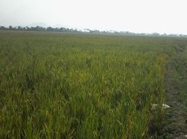  Terreno (Parcela) en venta en Sumurbandung, West Jawa, Sumurbandung, Bandung