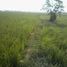  Terreno (Parcela) en venta en Sumurbandung, West Jawa, Sumurbandung, Bandung