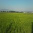  Terreno (Parcela) en venta en Sumurbandung, West Jawa, Sumurbandung, Bandung