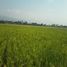  Terreno (Parcela) en venta en Sumurbandung, West Jawa, Sumurbandung, Bandung